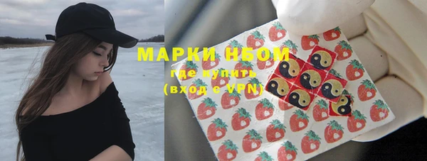 гидра Алексин