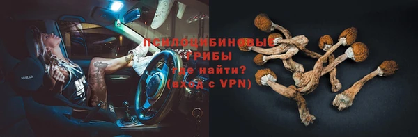 гидра Алексин