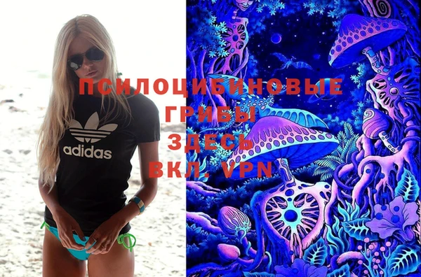 соль ск Алзамай
