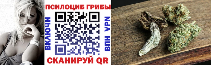 цена наркотик  Зуевка  Псилоцибиновые грибы Magic Shrooms 